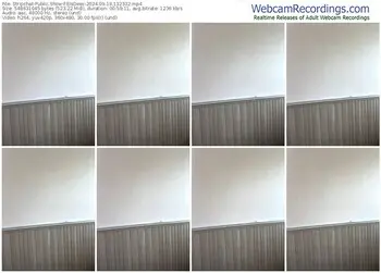 stripchat-elsdeex-09-19-2024-13-23-32