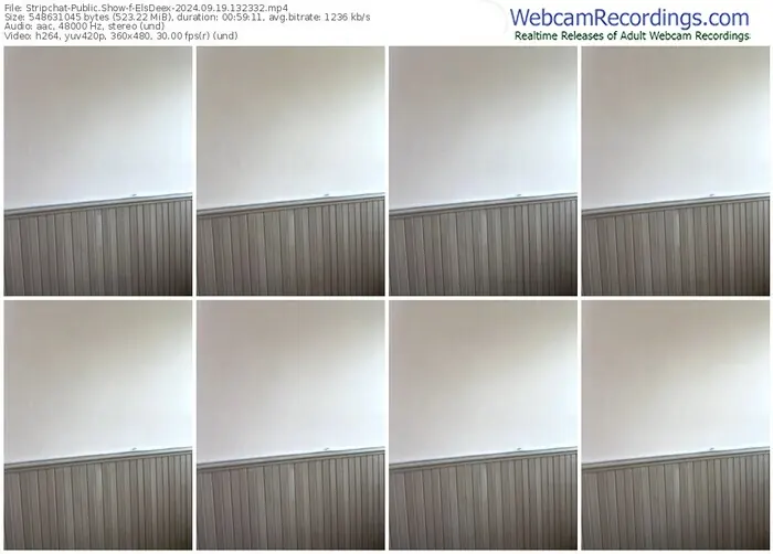 stripchat-elsdeex-09-19-2024-13-23-32