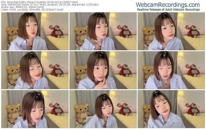 stripchat-onekitty-09-19-2024-15-46-57