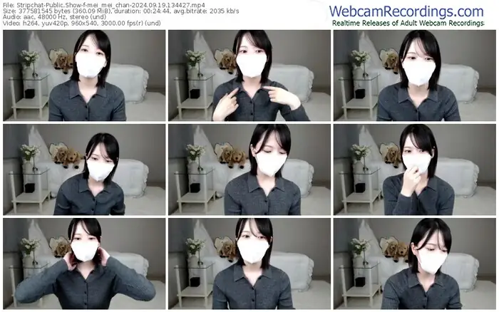 stripchat-mei_mei_chan-09-19-2024-13-44-27
