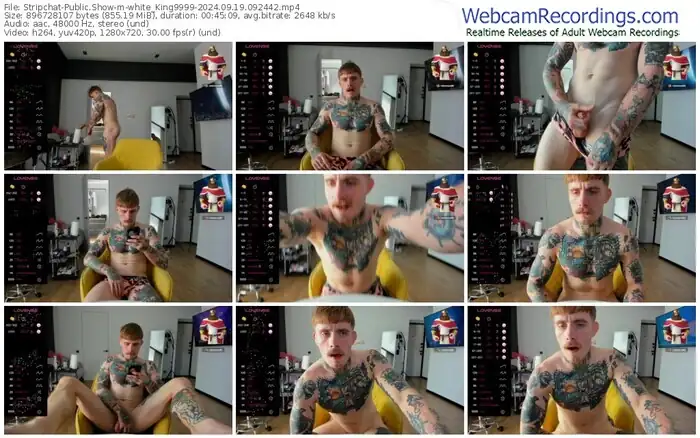 stripchat-white_king9999-09-19-2024-09-24-42