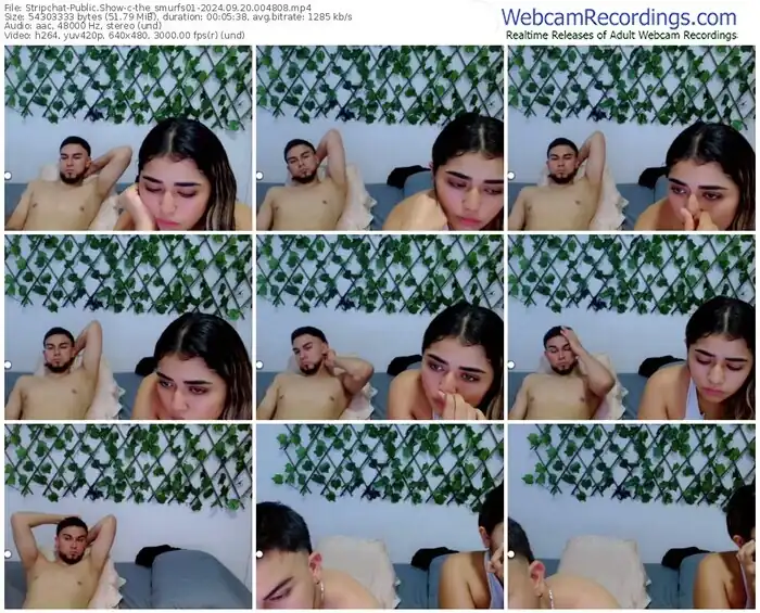 stripchat-the_smurfs01-09-20-2024-00-48-08