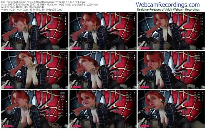 stripchat-nanatheinsane-09-20-2024-01-15-24