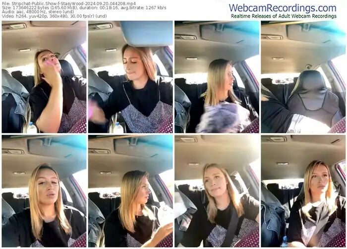 stripchat-stasywood-09-20-2024-04-42-08