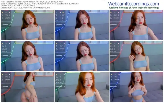 stripchat-willow_fox-09-20-2024-19-32-08