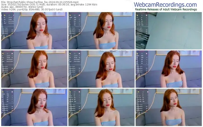 stripchat-willow_fox-09-20-2024-22-55-26