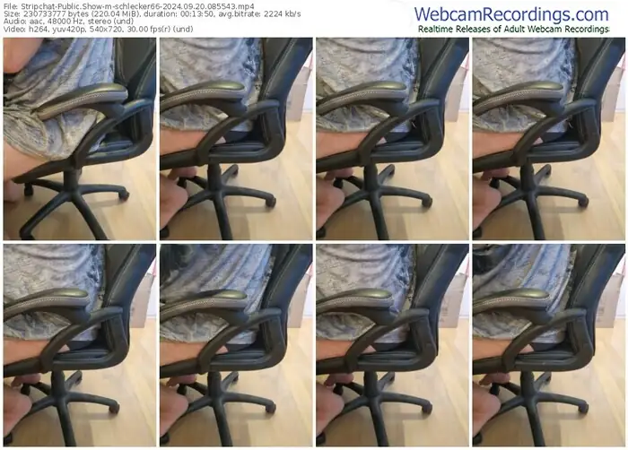 stripchat-schlecker66-09-20-2024-08-55-43