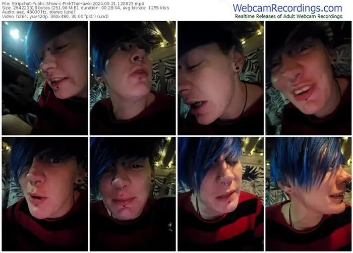 stripchat-pinkthehawk-09-21-2024-12-08-23