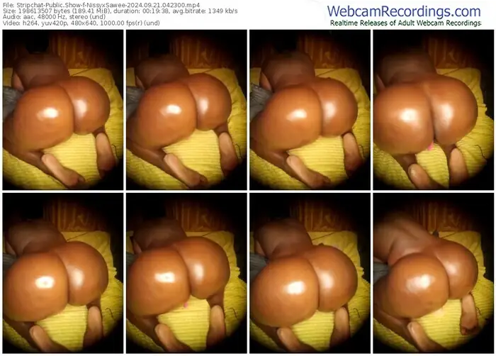 stripchat-nissyxsawee-09-21-2024-04-23-00