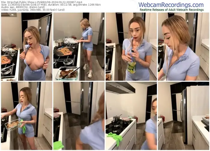 stripchat-pinkbitch6-09-22-2024-00-08-07