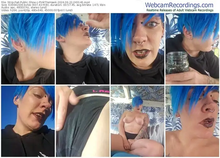 stripchat-pinkthehawk-09-22-2024-04-31-46