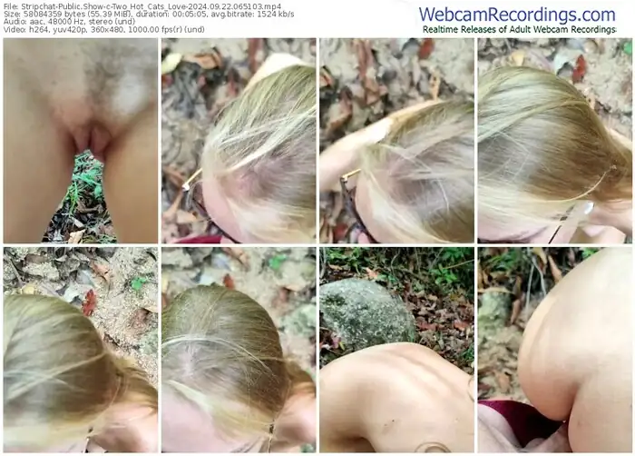 stripchat-two_hot_cats_love-09-22-2024-06-51-03