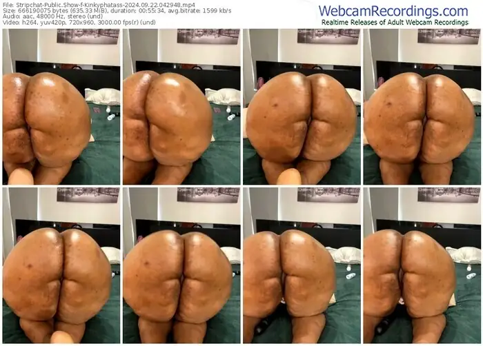 stripchat-kinkyphatass-09-22-2024-04-29-48