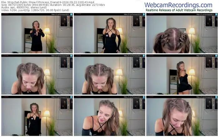 stripchat-princess_diana19-09-22-2024-22-01-43