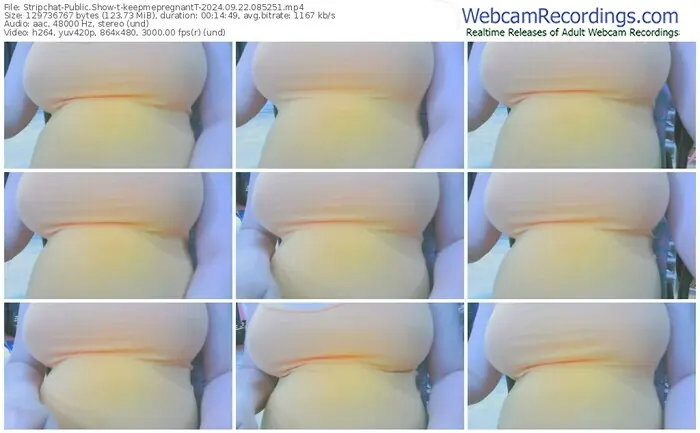 stripchat-keepmepregnantt-09-22-2024-08-52-51