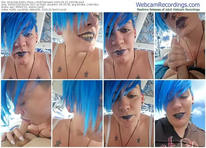 stripchat-pinkthehawk-09-23-2024-23-33-38