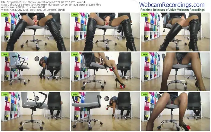 stripchat-secret-office-09-23-2024-11-25-14