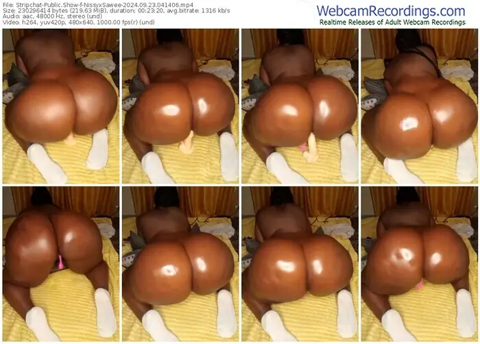 stripchat-nissyxsawee-09-23-2024-04-14-06