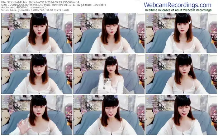 stripchat-a0513-09-23-2024-15-55-06