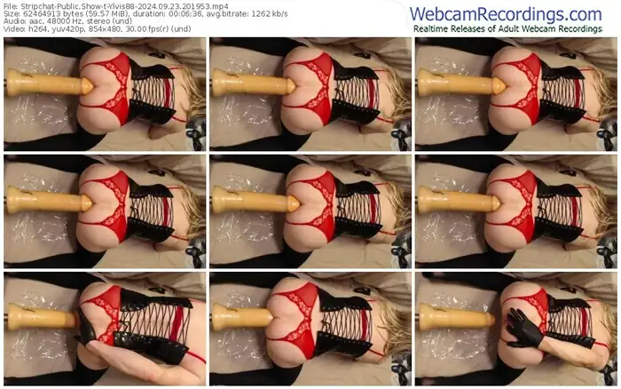 stripchat-ylvis88-09-23-2024-20-19-53