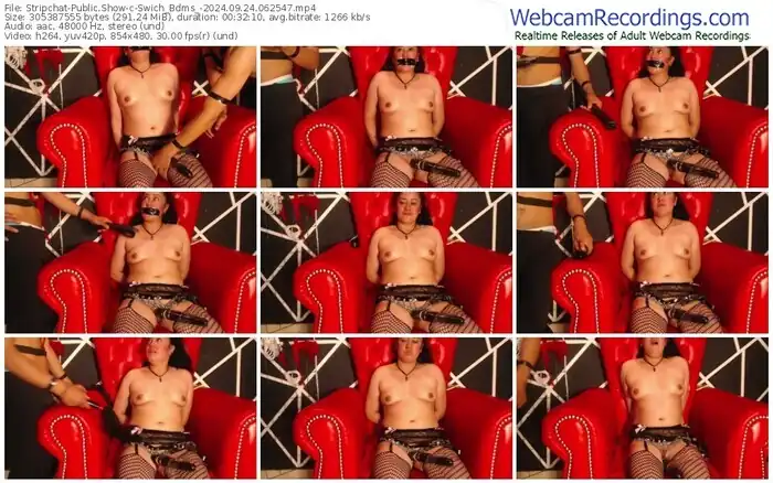stripchat-swich_bdms_-09-24-2024-06-25-47