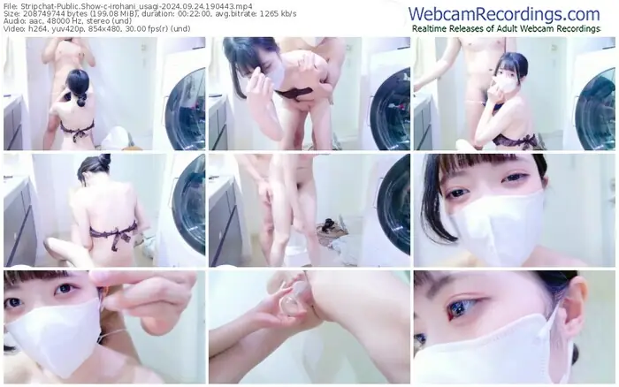 stripchat-irohani_usagi-09-24-2024-19-04-43
