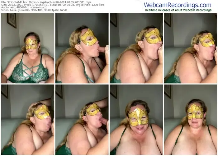 stripchat-largeboobies30-09-24-2024-02-13-11