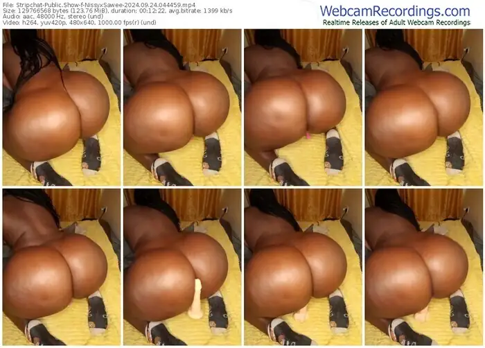 stripchat-nissyxsawee-09-24-2024-04-44-59