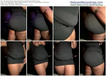 stripchat-pynky3x-09-24-2024-04-44-13