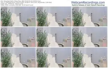 stripchat-rui--968-09-24-2024-22-43-50