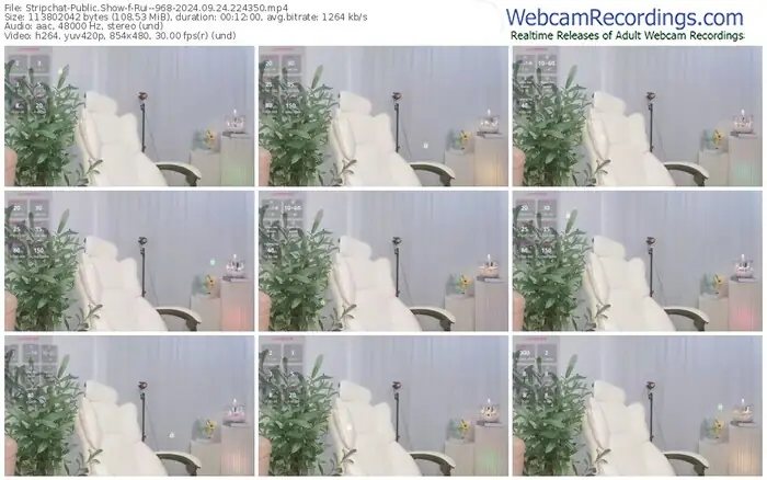 stripchat-rui--968-09-24-2024-22-43-50