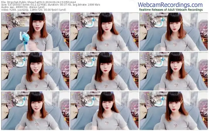 stripchat-a0513-09-24-2024-15-33-50