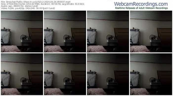 stripchat-yxjlyl5212-09-24-2024-05-56-07