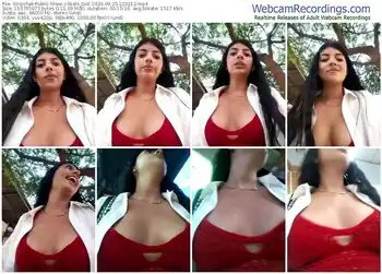 stripchat-niels_doll-09-25-2024-22-32-12