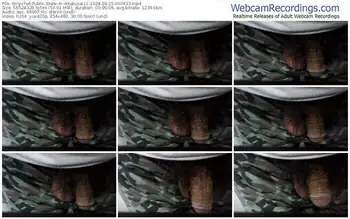 stripchat-ikkakusai11-09-25-2024-06-04-33