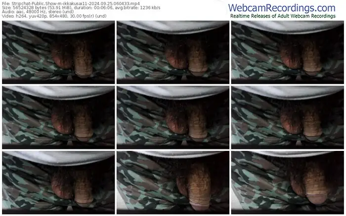 stripchat-ikkakusai11-09-25-2024-06-04-33