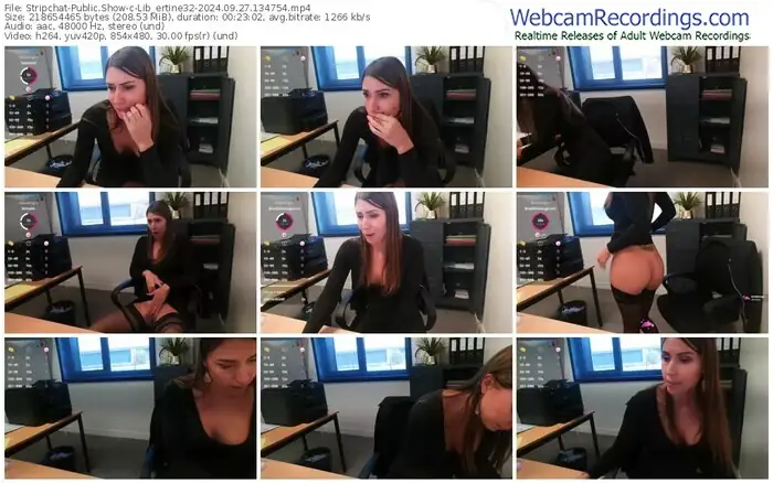 stripchat-lib_ertine32-09-27-2024-13-47-54