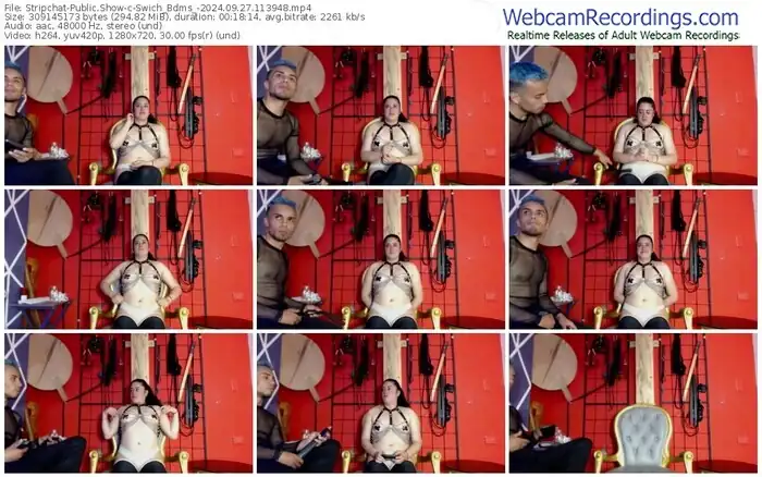 stripchat-swich_bdms_-09-27-2024-11-39-48