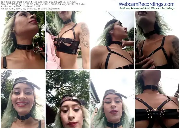 stripchat-rob_and_lizzy-09-28-2024-18-15-47