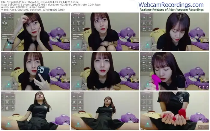 stripchat-n_hibiki-09-29-2024-14-22-17