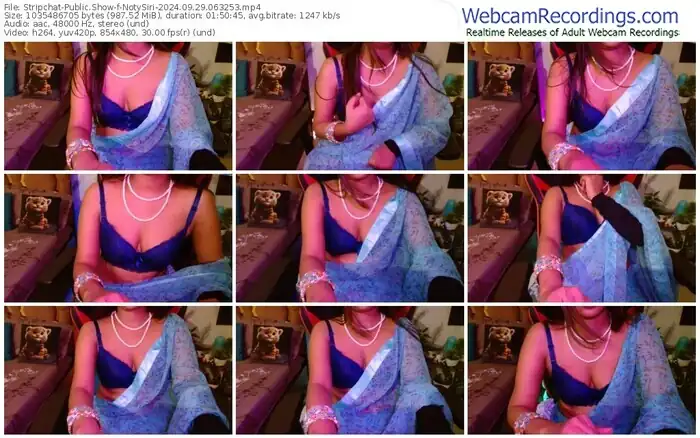 stripchat-notysiri-09-29-2024-06-32-53