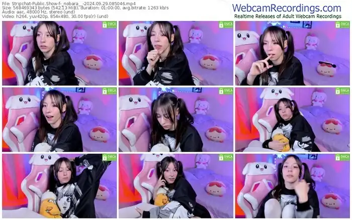 stripchat-_nobara__-09-29-2024-08-50-46