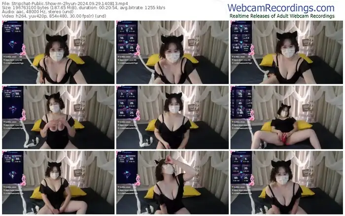 stripchat-2hyun-09-29-2024-14-08-13