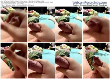 stripchat-felixhartel-09-29-2024-13-44-52