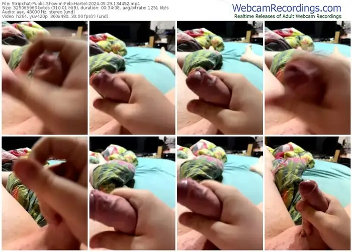 stripchat-felixhartel-09-29-2024-13-44-52
