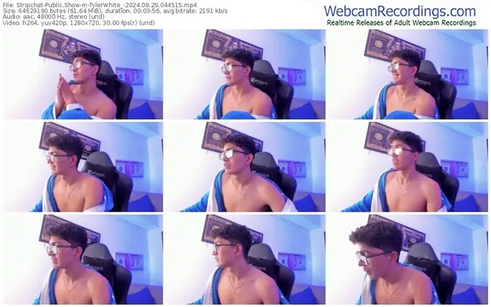 stripchat-tylerwhite_-09-29-2024-04-45-15