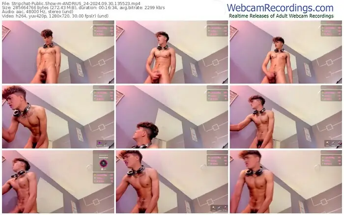 stripchat-andrius_24-09-30-2024-13-55-23