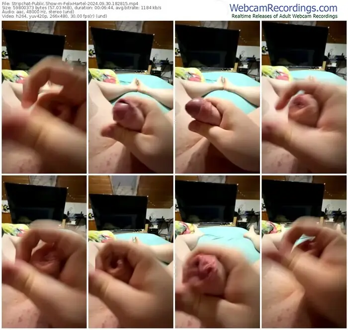 stripchat-felixhartel-09-30-2024-18-28-15