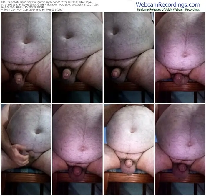 stripchat-gordinhocachondo-09-30-2024-05-04-40