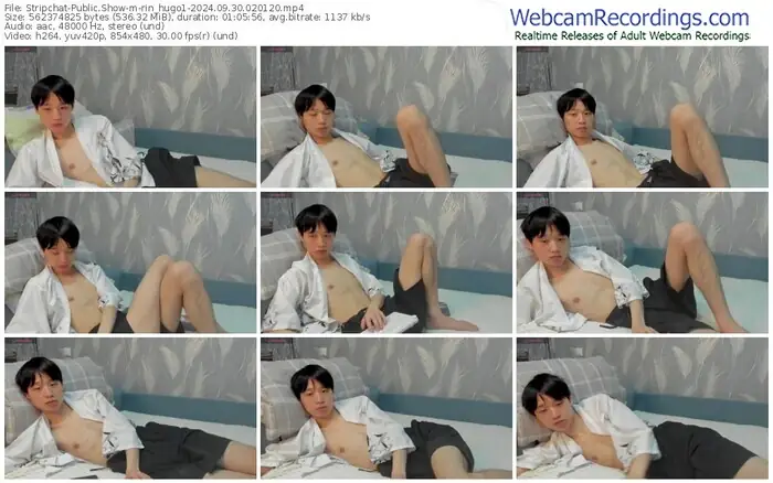 stripchat-rin_hugo1-09-30-2024-02-01-20